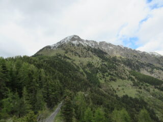 Monte Saccarello dal Passo di Collardente (m.1601)