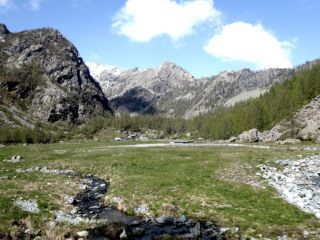 Lo splendido pianoro dell'Alpe Vercoche. Al centro sullo sfondo il Bec Laris.