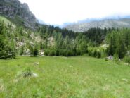 Alpe Cavalle o Alpe Campo