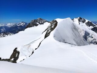In cima, vista verso Palù centrale e Piz Bernina