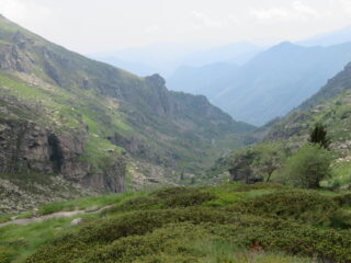 vista sul vallone in discesa, all'altezza dell'Alpe Balmot
