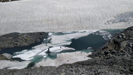 Piccoli icebergs nel lago effimero