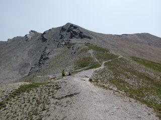 La discesa dal monte Bellino vista dal colle omonimo.