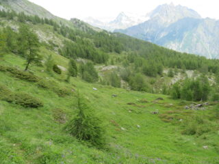 il sentiero non segnato attraversa questa valletta allungata alla base del versante S-E della Crou de Bleintse; a dx in basso la conca detritica con grandi massi