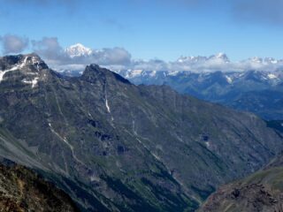 Monte Bianco e Jorasses dalla cima.