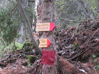 i cartelli in legno , che segnalano i vari sentieri.