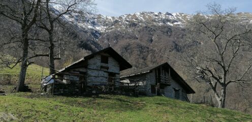 Alpe Fontan m. 793