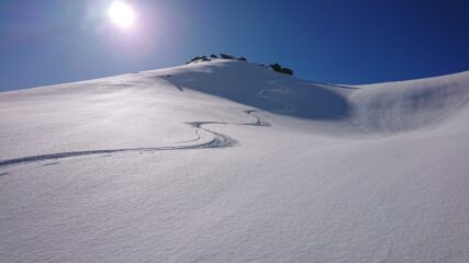 prime curve bella neve