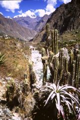 valle Urubamba