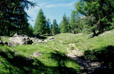 il tratto iniziale del Vallone di Tisa (20-6-1998)