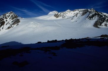 il Similaun visto dal Colle del Giogo Basso (20-6-1998)