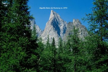dal bosco spunta la splendida Aiguille Noire de Peuterey (25-7-1998)