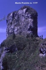 il Monte Procinto osservato dal Rifugio Forte dei Marmi (2-5-1999)