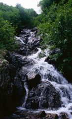 cascatelle lungo il sentirero che porta al Rifugio Curò (12-6-1999)