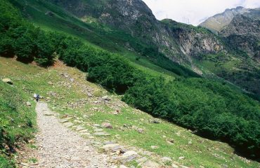 l'ottimo sentiero per il Rifugio Curò (12-6-1999)