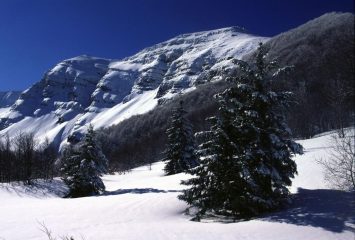 il Monte Giovo visto dal Passo della Boccaia (11-2-2001)