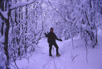 io nel bosco sopra il canale (17-2-2002)