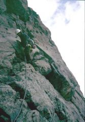 Roberto nel grigiore generale