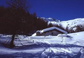 Le baite di Pescia Alta (Rifugio Anzana) verso il termine del bosco a quota 2050 circa