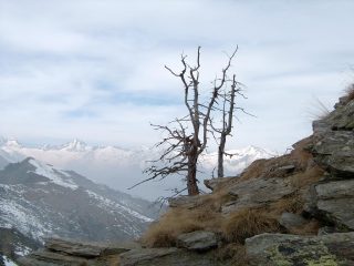 Panorama dai pressi della vetta