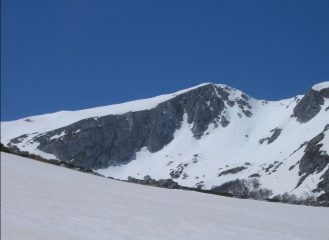 M.Altare