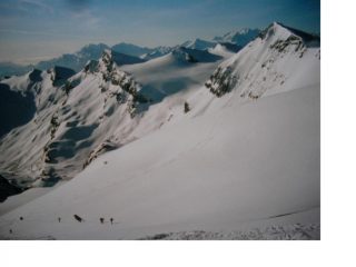 Sui pendii sottostanti la vetta...