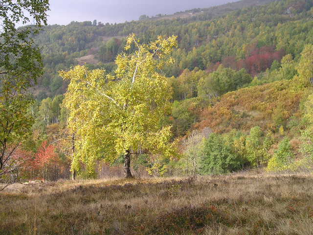 colori autunnali a pian confier