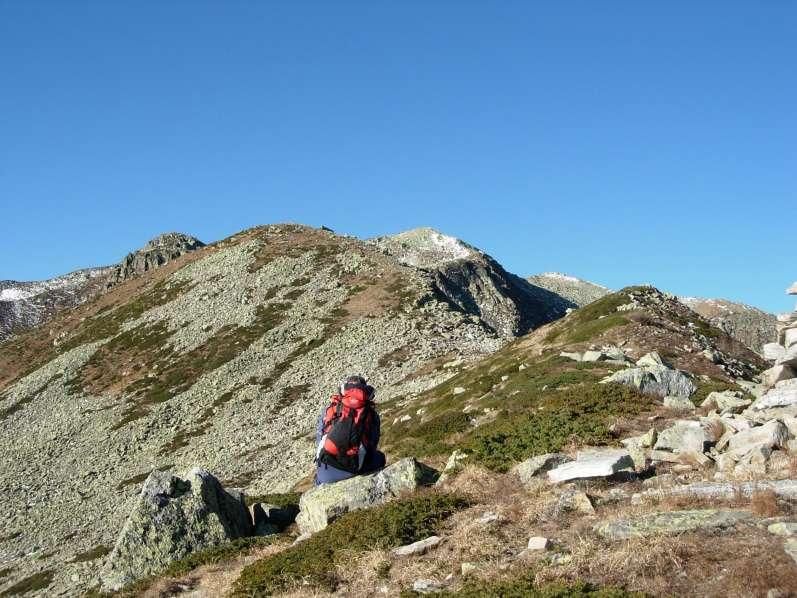 Sul tratto mediano della cresta