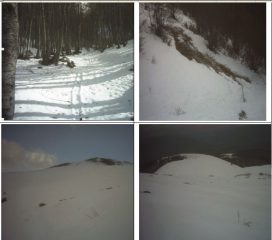 in senso orario:1)bosco alla partenza 2)distacchi di fondo 3)Colle ad arco 4)vetta del Blockhaus