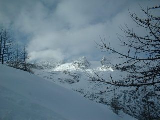 cima del carro