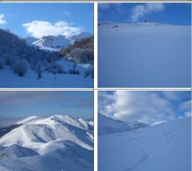 in senso orario: 1)Radura del Viperaio 2)Pendio sommitale 3)Discesa (visibile in alto la vetta) 4)Panorama del gruppo della Terratta.