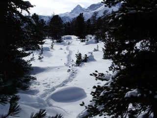 sopra il lac bagnour (2200m circa)