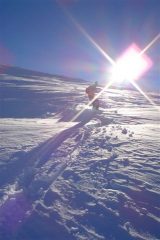 Al sole