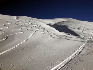 Uno dei rari tratti di farina 