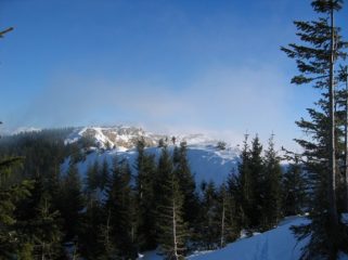 la parte di crinale per rientrare al Poggione dalla valle di Campolino