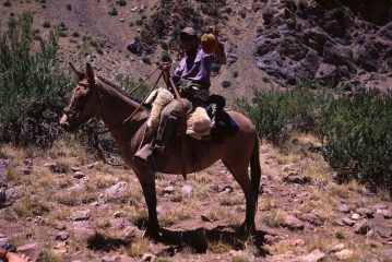 uno dei nostri arrieros a Pampa de Lenas (8-1-2005)