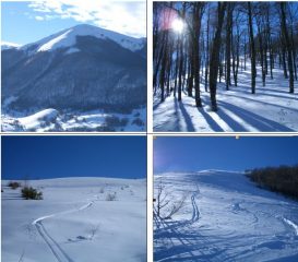 In senso orario:1)Panorama a distanza del costolone Est 2)faggeta secolare 3)neve polverosa sul costolone Est 4)neve polverosa nei pendii inferiori