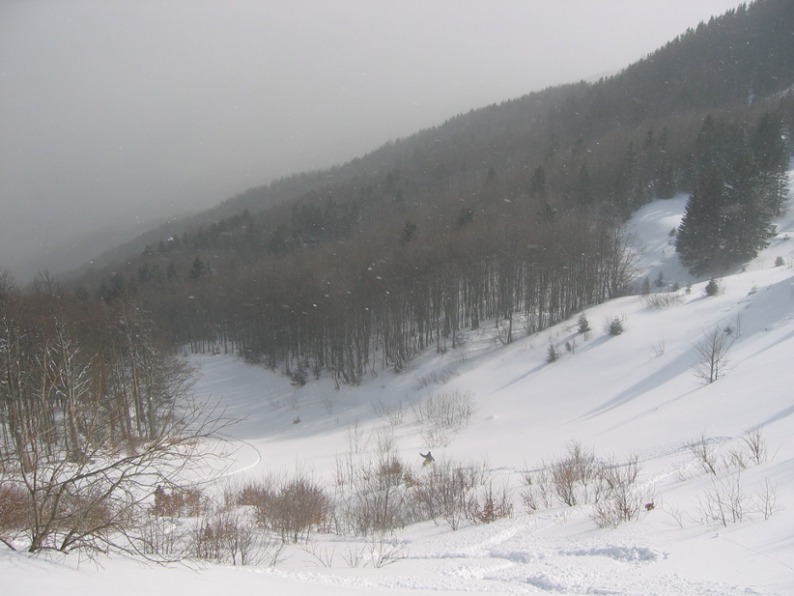 ritorno in libertà verso la traccia di salita
