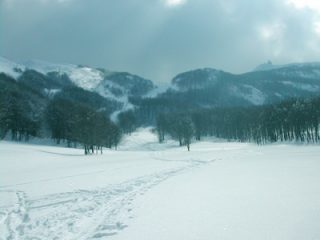 foto da Prato della Cipolla