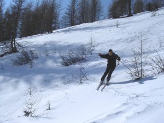 in discesa nel bosco