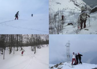 Collage della giornata