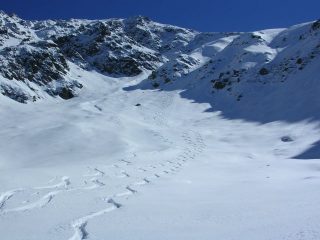 Curve su farina immacolata