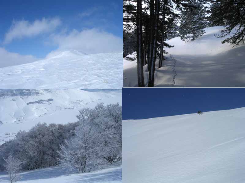 Dall'alto in senso orario: 1) Veduta della cima 2) Ingresso nella pineta alle pendici di M. Calvario 3) Bosco sottostante Cima Della Fossa 4) Ampio pendio antecedente M. Calvario