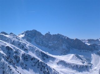 Corvo sul Marguareis