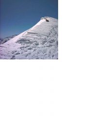 Neanche lui oggi riusciva a galleggiare...