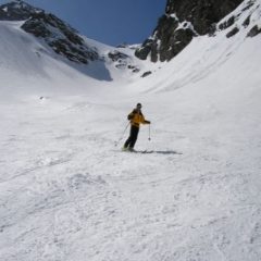 Franco in azione