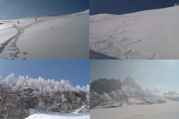 Gli ultimi metri prima della vetta, in discesa, larici imbiancati, rocca la meja