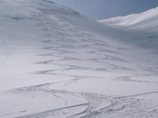 ...non credo serva una descrizione...