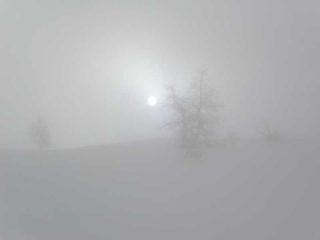 Uno scorcio di sole...