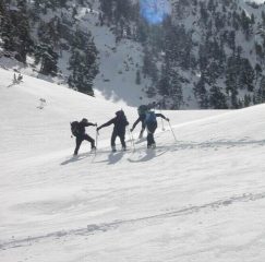 controlliamo che battano in direzione giusta!